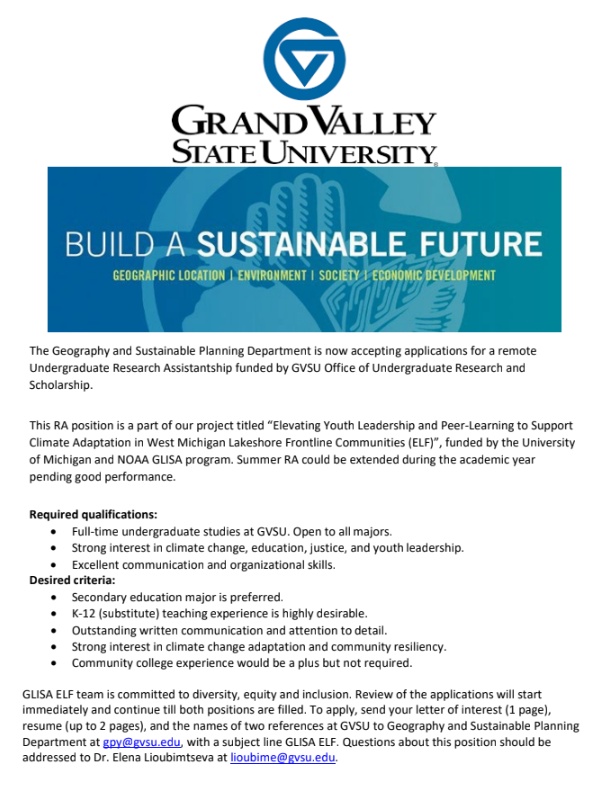 Remote Undergraduate Research Assistantship